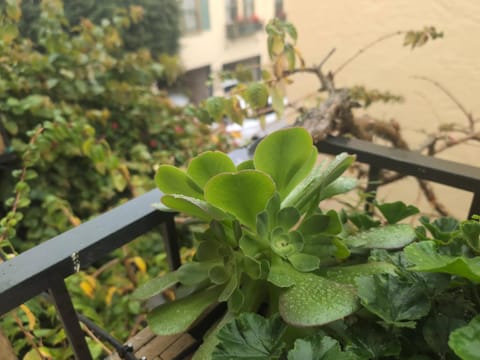 Marina Motel Motel in San Francisco