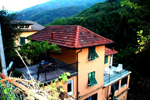 Property building, Bird's eye view