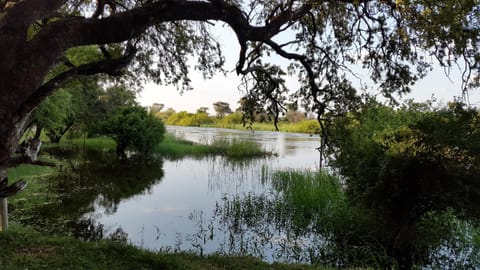 River view
