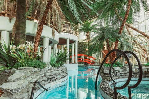 Aqua park, Swimming pool