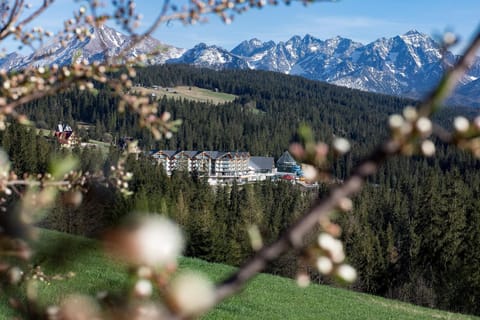 Nearby landmark, Spring, Natural landscape, Mountain view