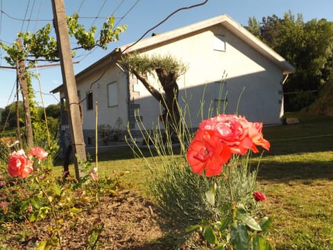 Property building, Garden, Garden