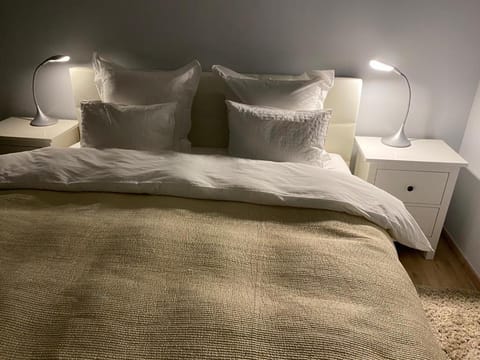 Spacious studio Apartment in Knokke-Heist