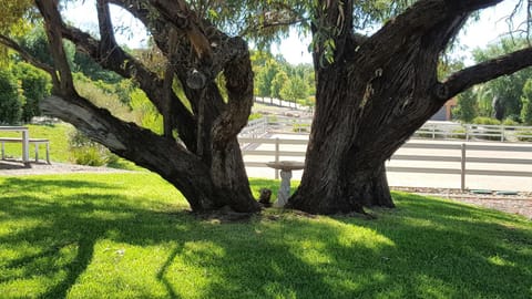 Garden, Horse-riding