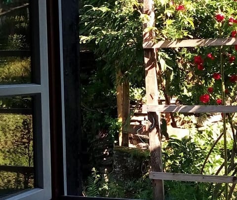 Haus am Oberen Mühlenberg mit GARTENNUTZUNG Apartment in Monschau