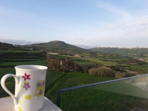 Penthouse view Apartment in Malta