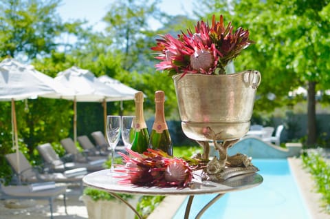 Garden, Decorative detail, Garden view, Pool view, Swimming pool