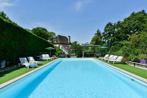 Natural landscape, Garden, Swimming pool, sunbed