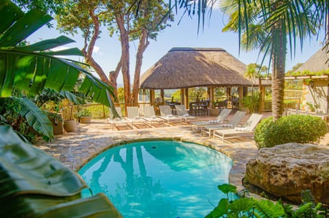 Garden, Garden view, Pool view, Swimming pool, sunbed