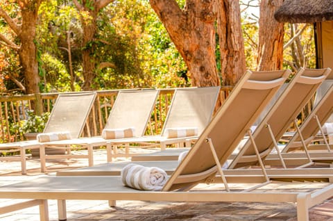 Day, Garden, Garden view, sunbed