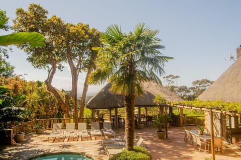 Day, Natural landscape, Garden, Garden view, Pool view, Swimming pool, sunbed