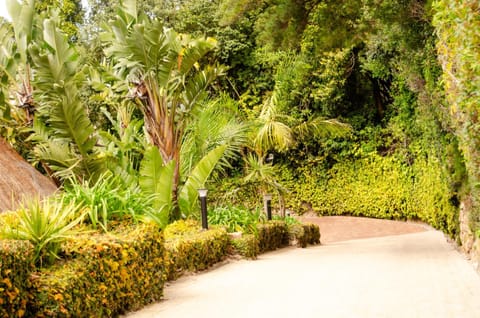 Facade/entrance, Day, Natural landscape, Garden, Garden view