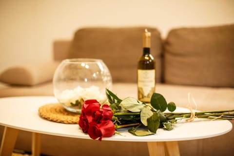 Apartman Top Spot Apartment in Federation of Bosnia and Herzegovina