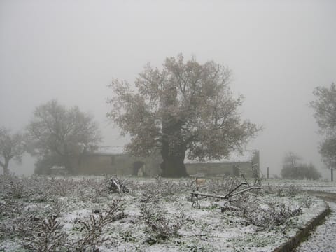 Il Castelluccio Apartment in Basilicata