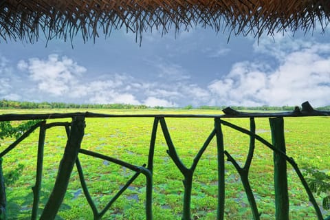 Natural landscape, Balcony/Terrace, Garden view