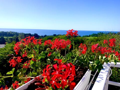 Day, Garden, Balcony/Terrace, Other, Garden view, Sea view