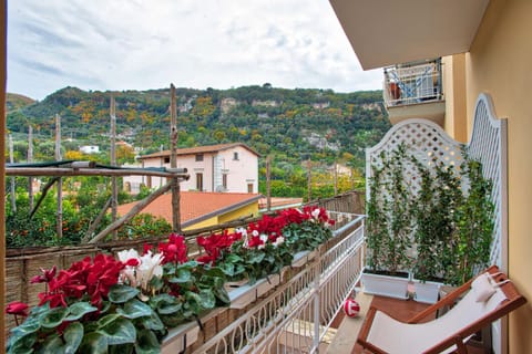 Property building, Balcony/Terrace