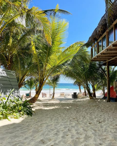 Beach, Sea view