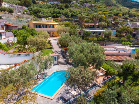 Bird's eye view, Pool view