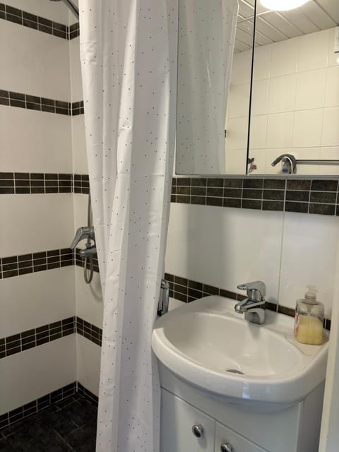 Guest House Nina Art Apartment in Finland