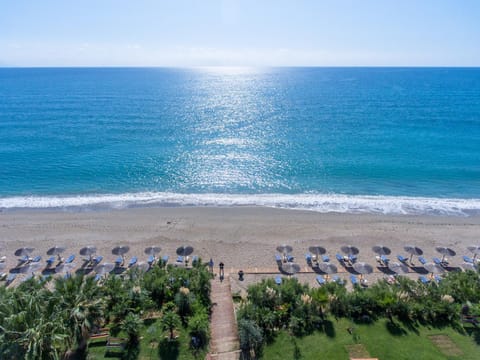 Beach, Sea view, sunbed