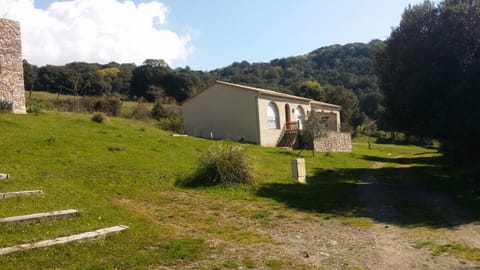 courtaline House in Corsica