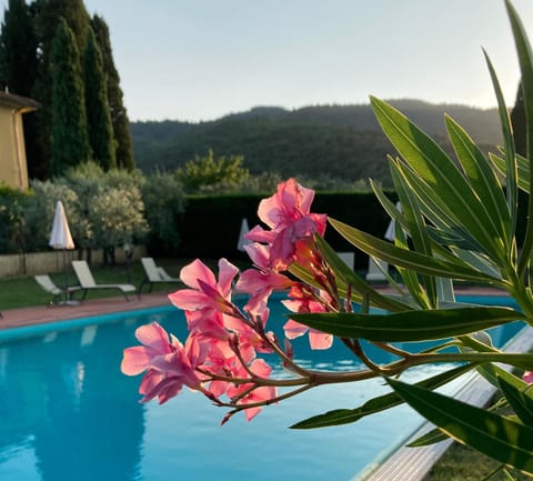 Pool view, Swimming pool, Swimming pool