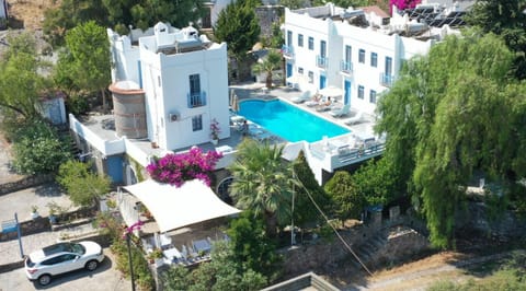 Bird's eye view, Pool view