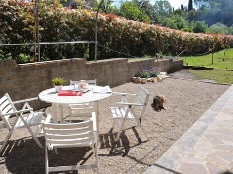 Spring, Pets