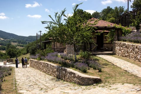 Patio, Garden, Garden view, Mountain view, Area and facilities