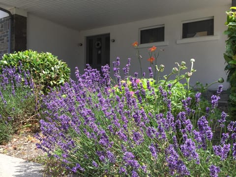 La villa des Savoyards House in Vielsalm