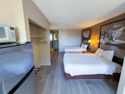 Bed, TV and multimedia, Kitchen or kitchenette, Living room, Photo of the whole room, Seating area, Bedroom, oven, pet friendly