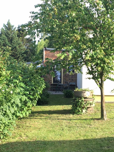 Property building, Day, Garden view