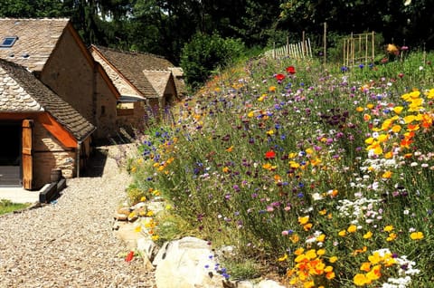 Summer, Garden, On site, Garden view