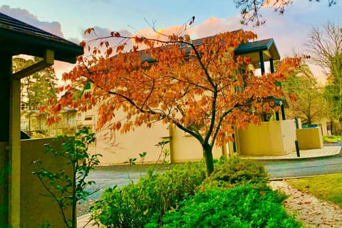 Property building, Garden, Garden, Sunset