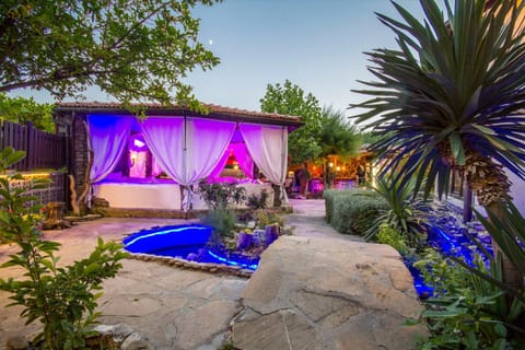 Garden, Lounge or bar