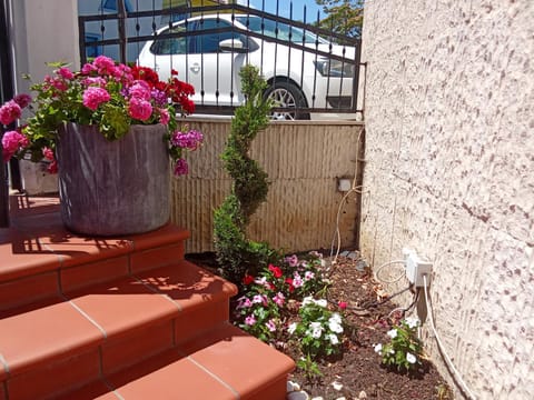 Patio, Garden