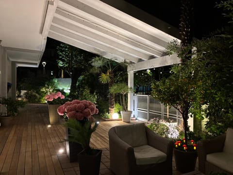 Night, Garden view