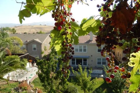 Property building, Patio, BBQ facilities, Garden, Balcony/Terrace, Garden view, Mountain view