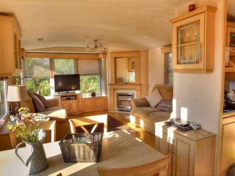 Helyg Bach Chalet in Wales