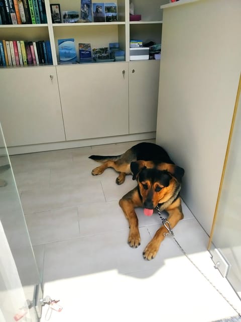 Manganas Studios Apartment in Corfu, Greece