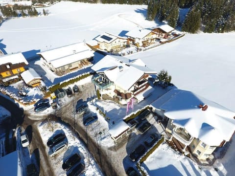Bird's eye view, Winter