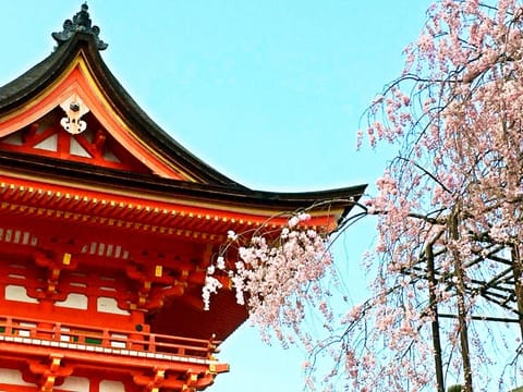 Nearby landmark, Spring, Location