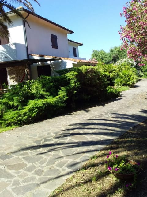 Le Palme Apartment in Tuscany