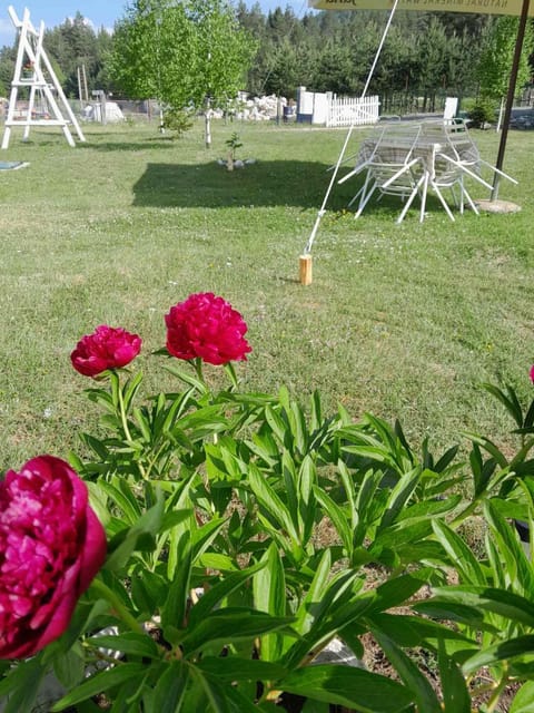 Vikendica Borje House in Montenegro