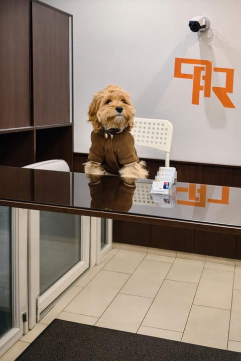 Property building, Lobby or reception, Pets