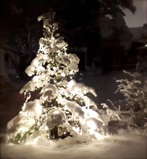 Natural landscape, Winter