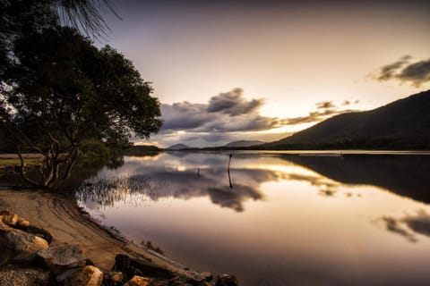 Natural landscape, Beach, On site, Pets, Sunset