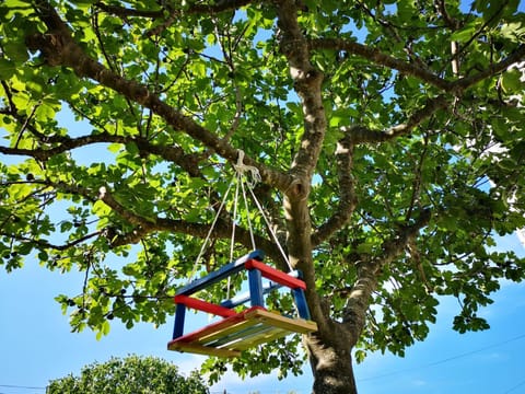 Day, Activities, Garden