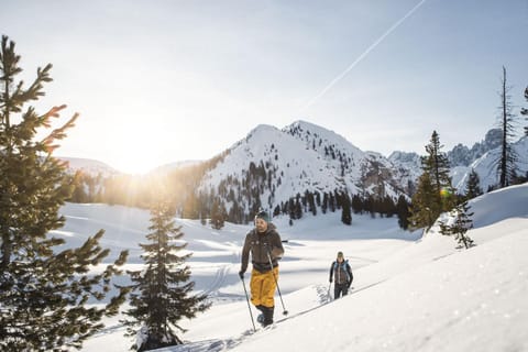 Natural landscape, Winter, Mountain view